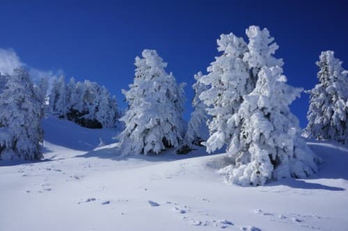 L'hiver est encore là !