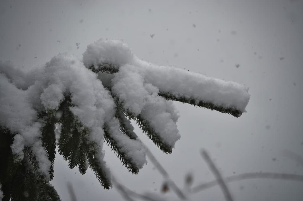 L'hiver est là !