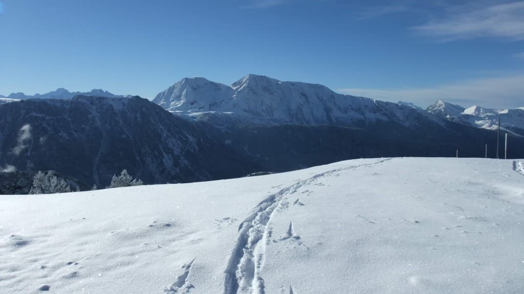La trace A.P.