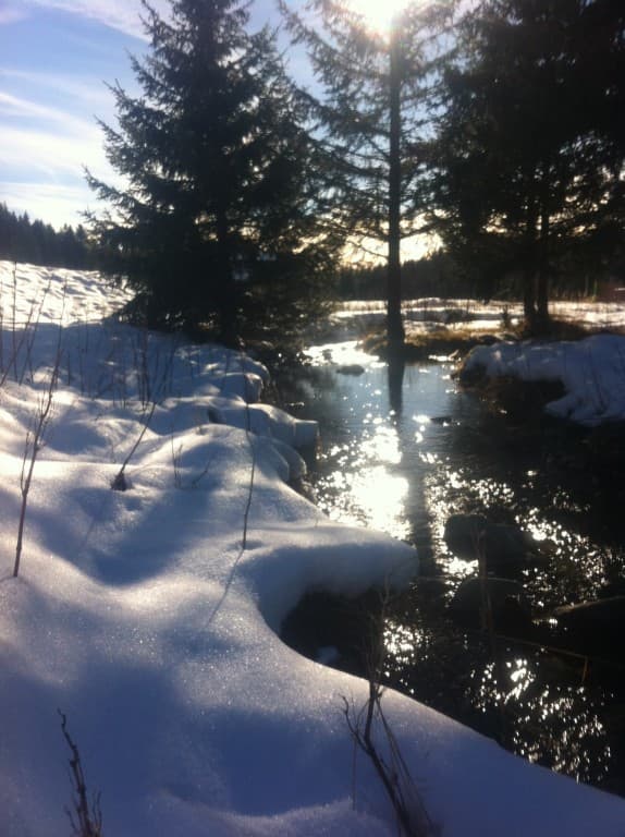 premières neiges ruisseau la Salinière