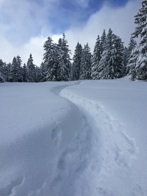 Traversée Clairière en raquettes