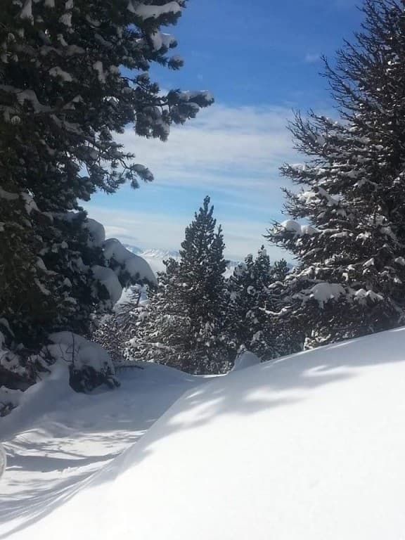 ENTRE DEUX PISTES ...