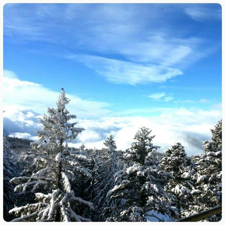 VUE ECRIN DES NEIGES