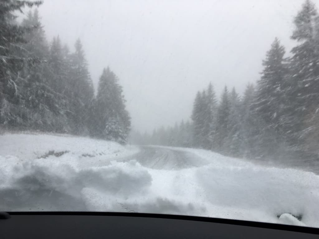 1Ã¨re neige