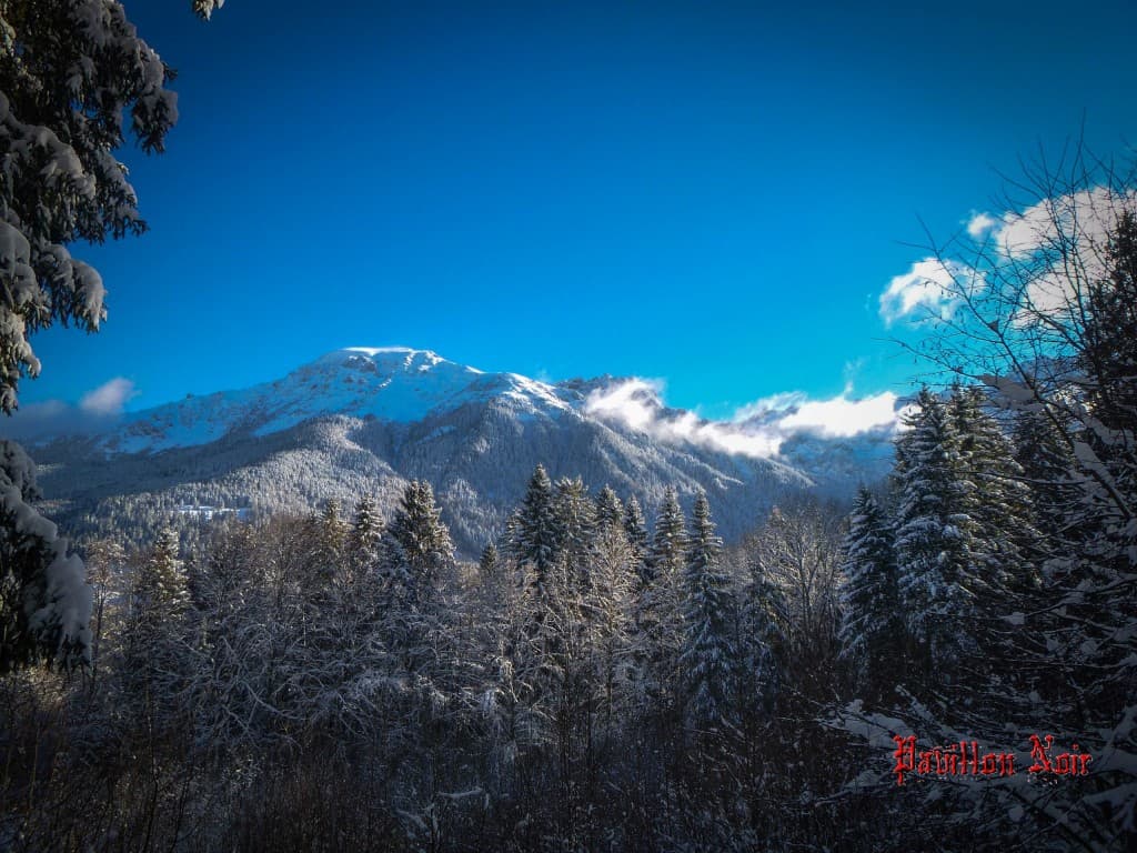 Après le blizzard