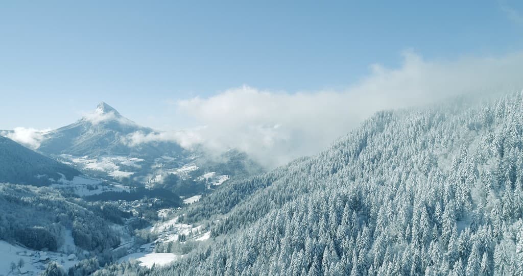 La Chartreuse sous la neige