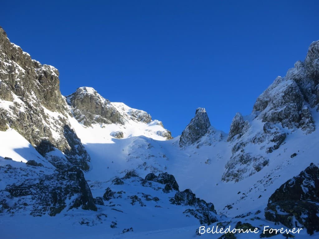 Le sorbier roche & glace A.P.