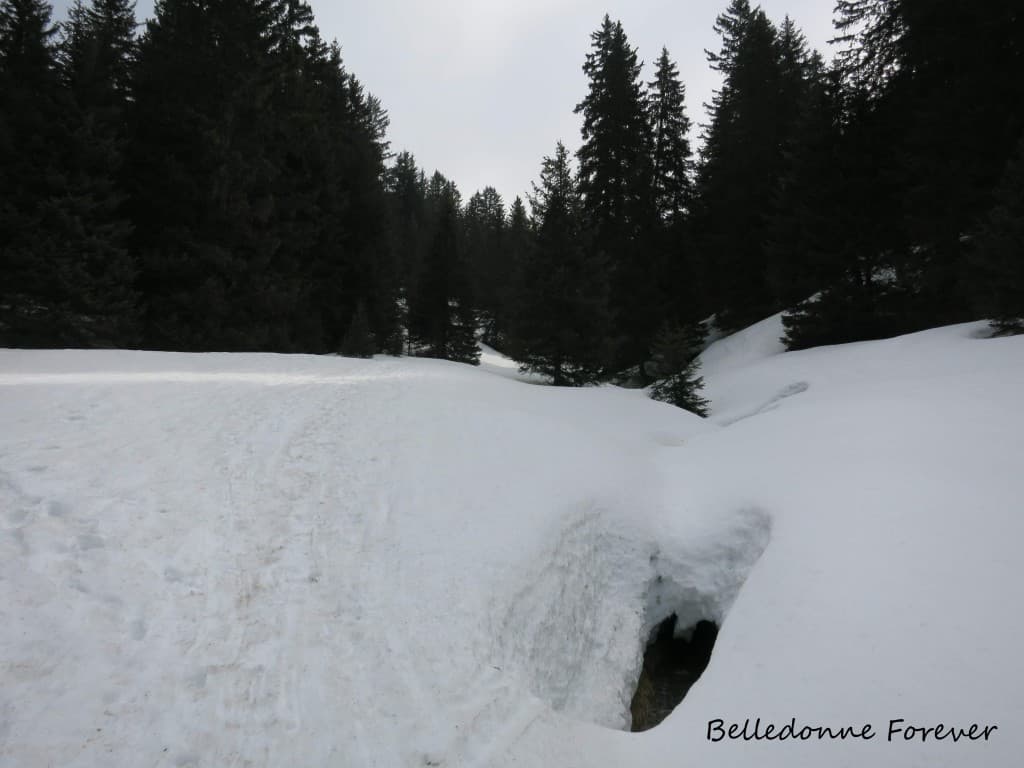 Neige à 1660 m A.P.