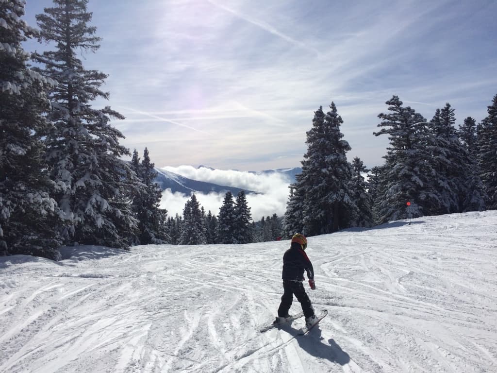 ski