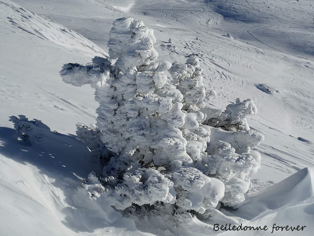 Beaucoup de givre  A.P.