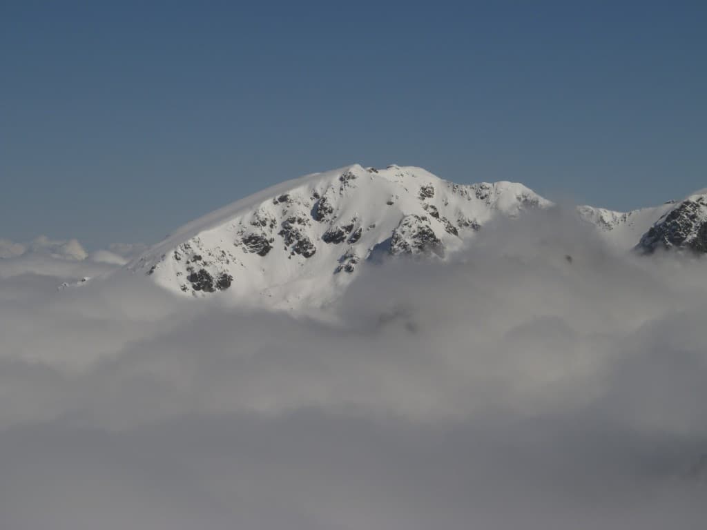 Grand Colomb