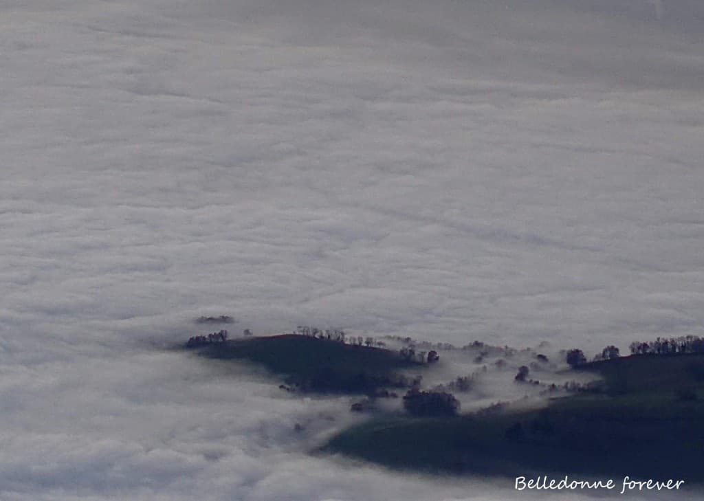 Mer de nuage à 550m A.P.