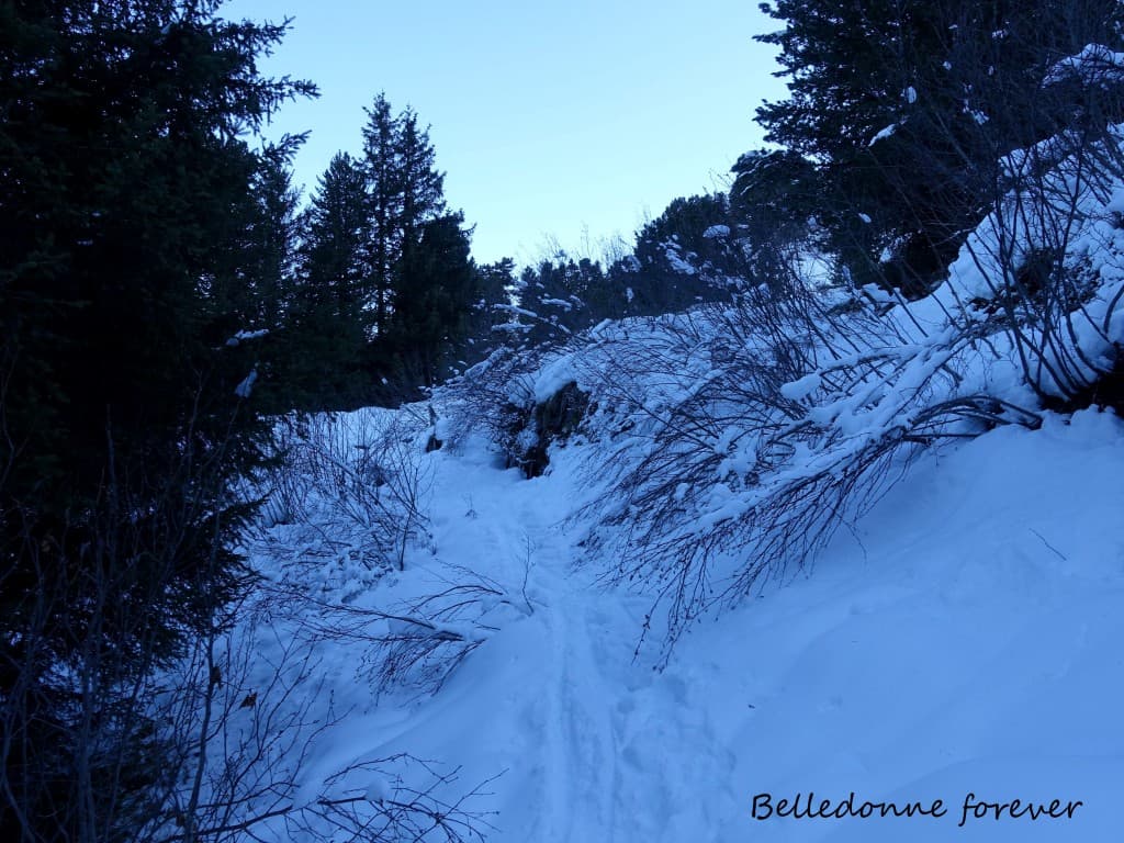 Neige froide &  poudreuse en nord A.P.