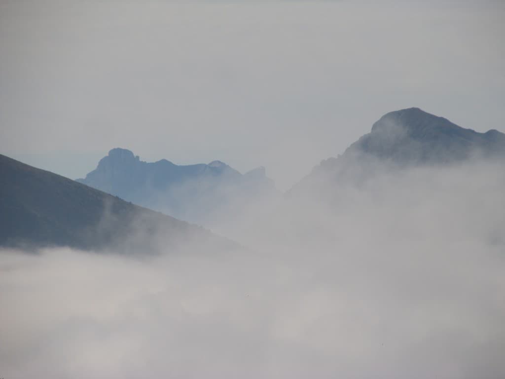 Obiou au dessus des nuages