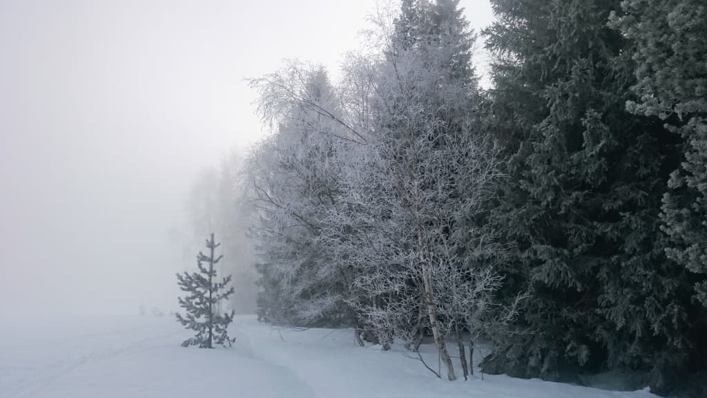 Plateau Arselle