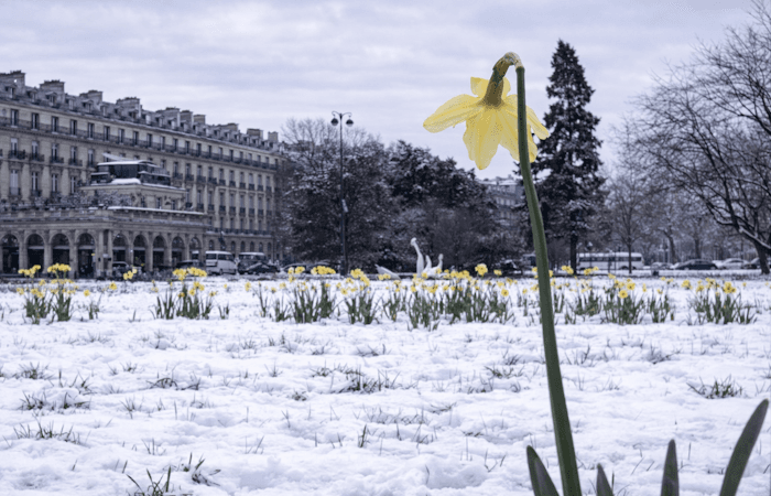 Neige en abondance pour le printemps 1975