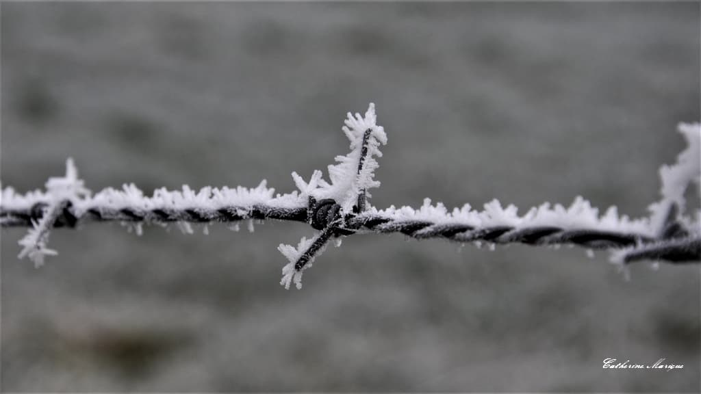 Givre