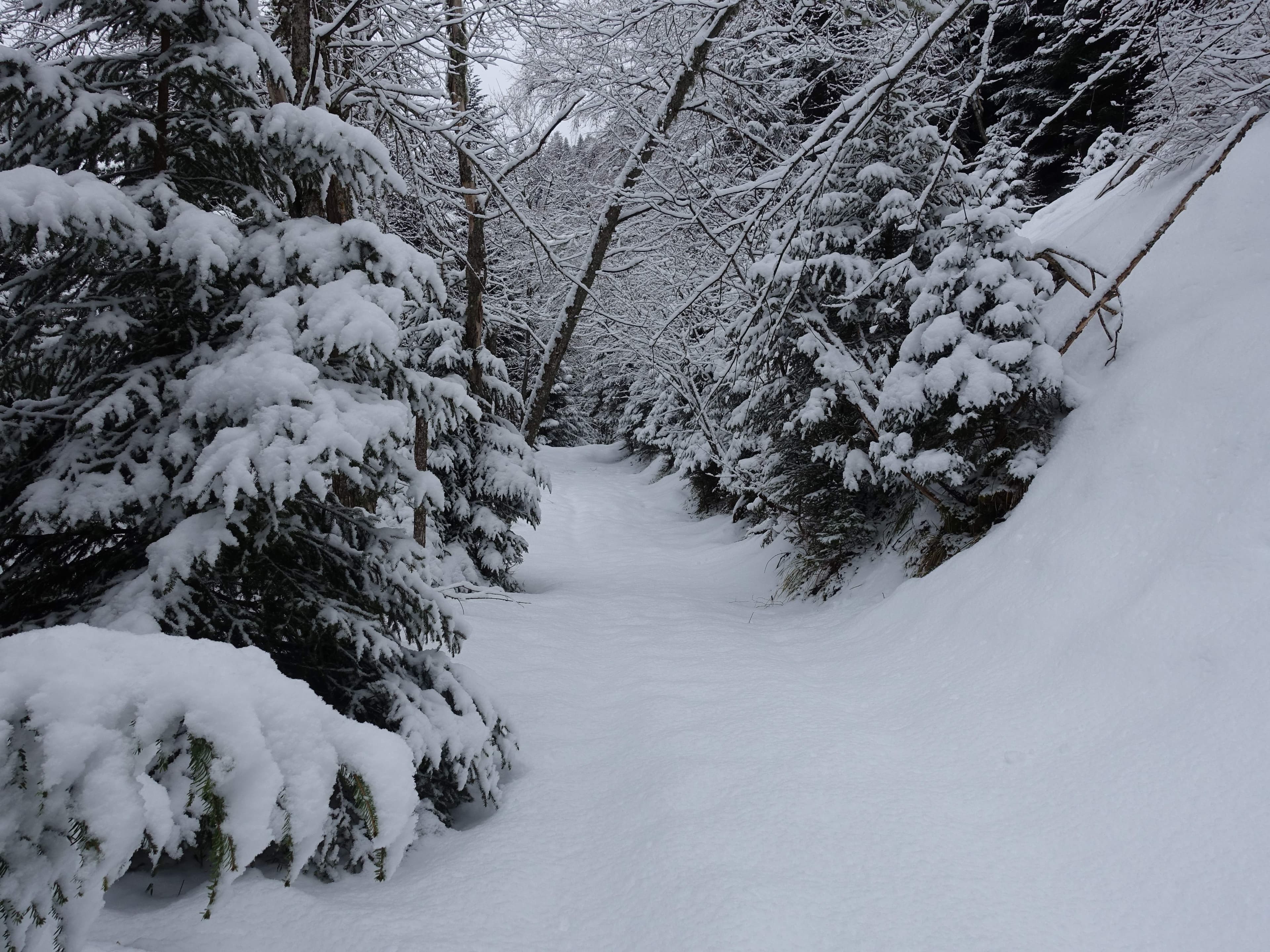 Un peu de neige à 1400m A.P