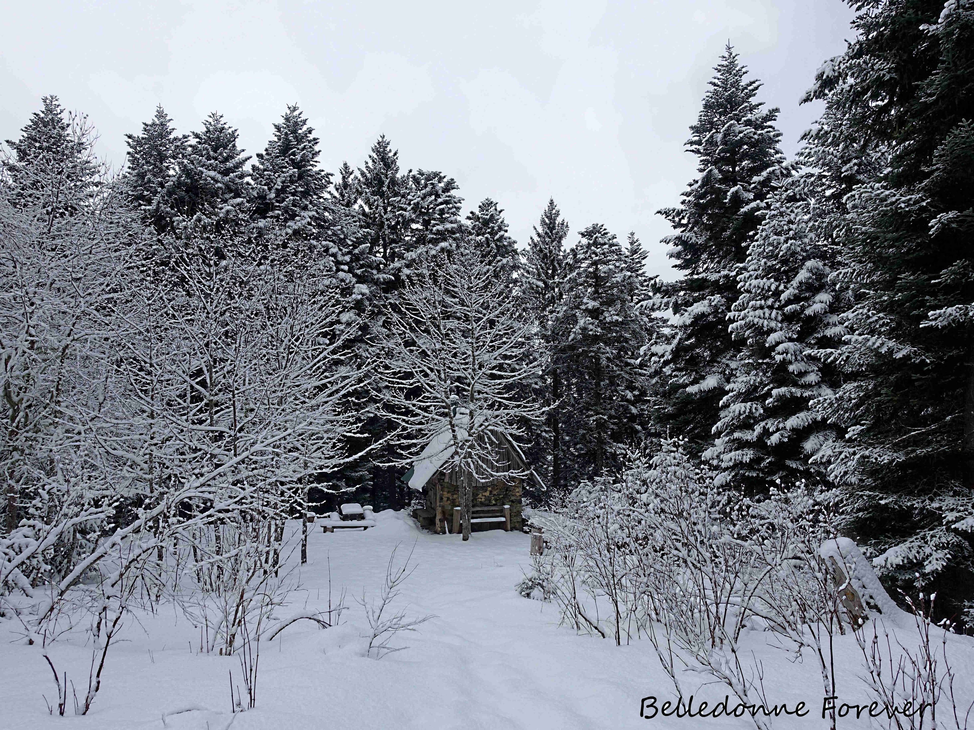 10 cm de neige fraîche à 1400m A.P.