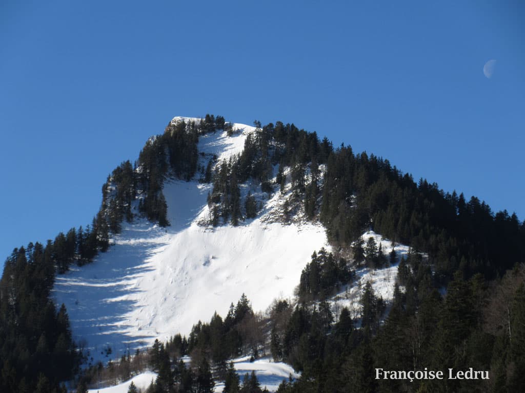 Lune et bec Charvet