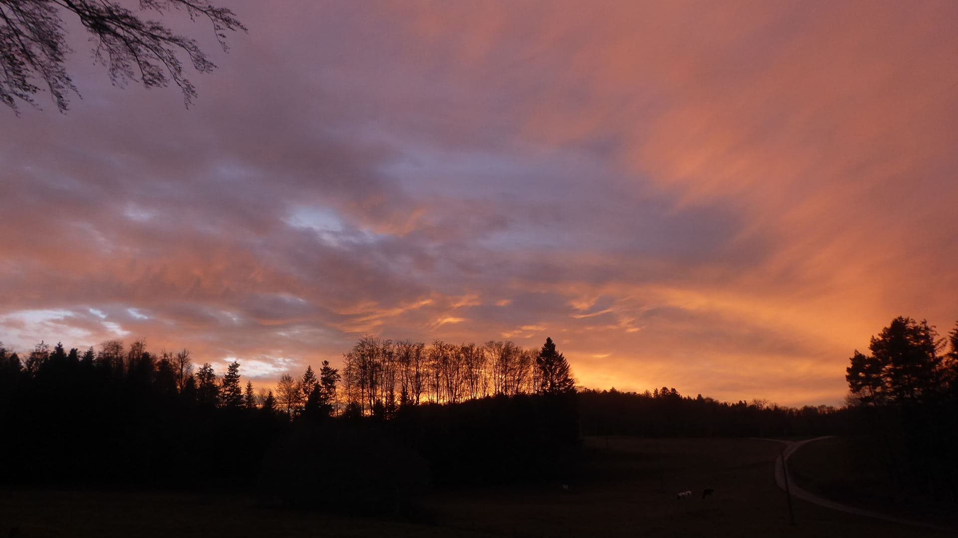 Coucher flamboyant