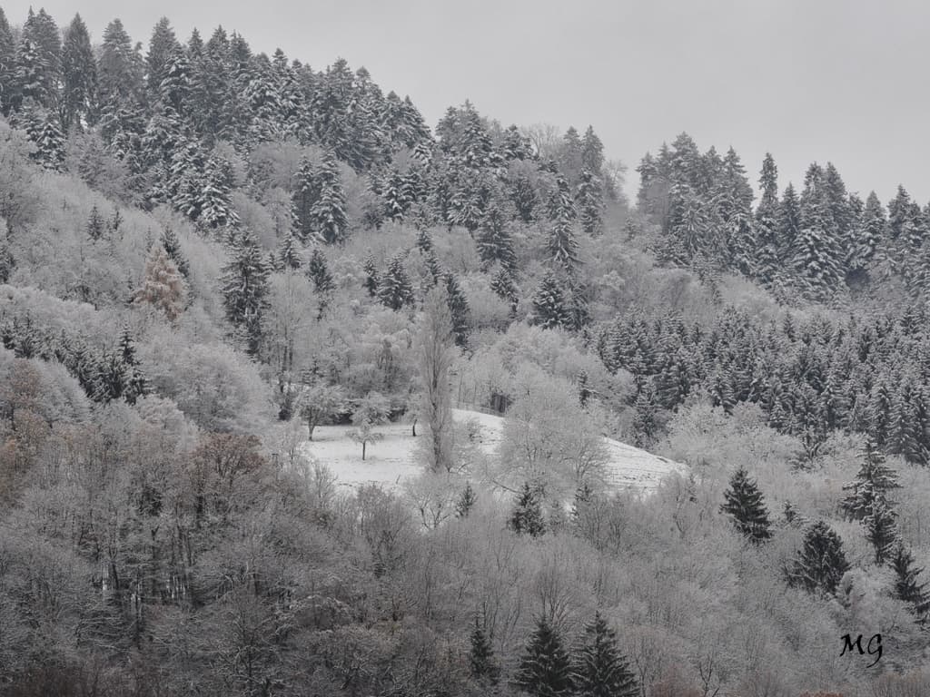 Couleurs d'hiver de saison !!!