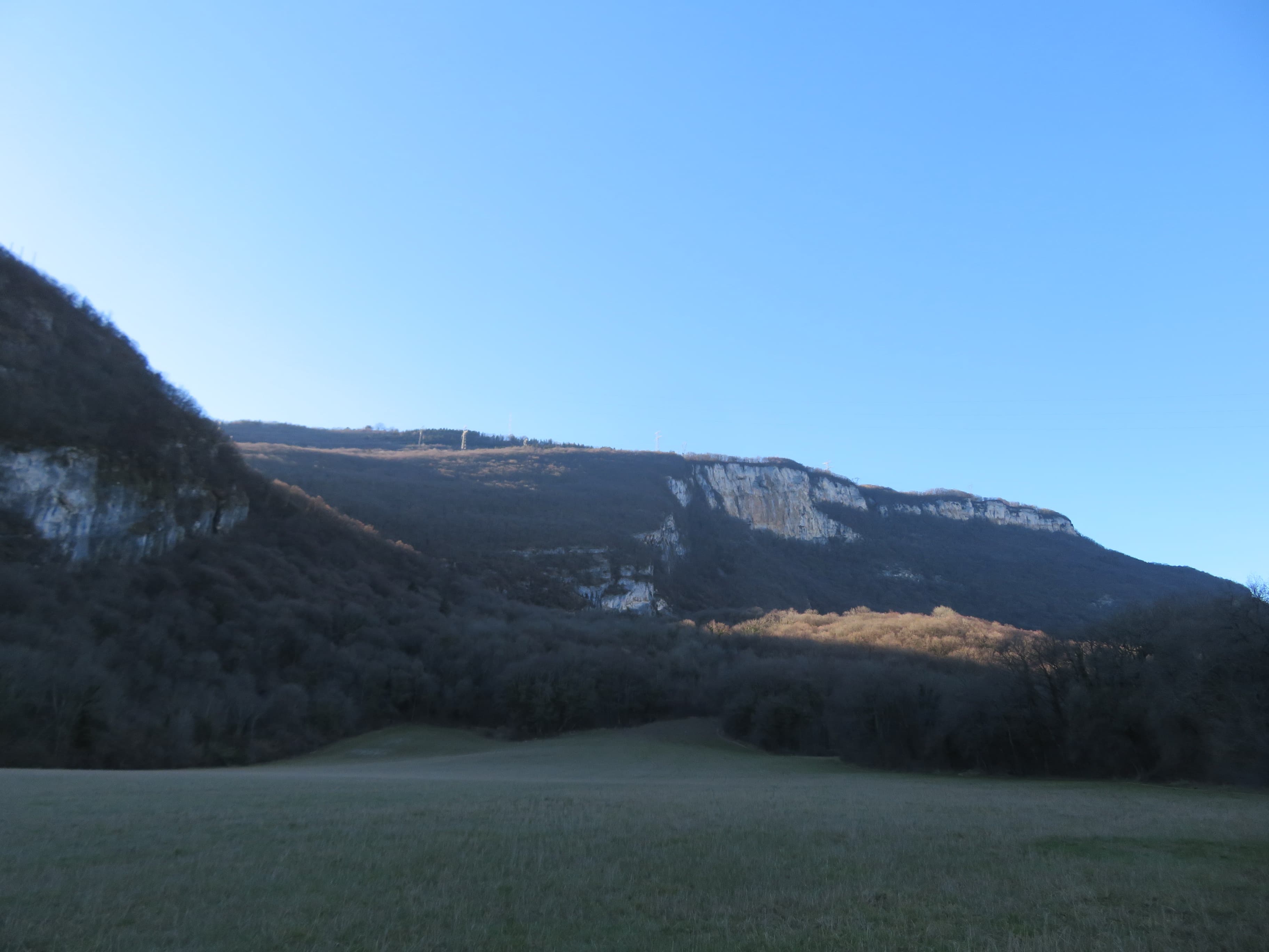 printemps en février