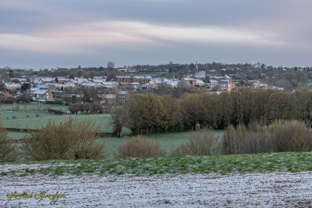 Un bocage en hiver