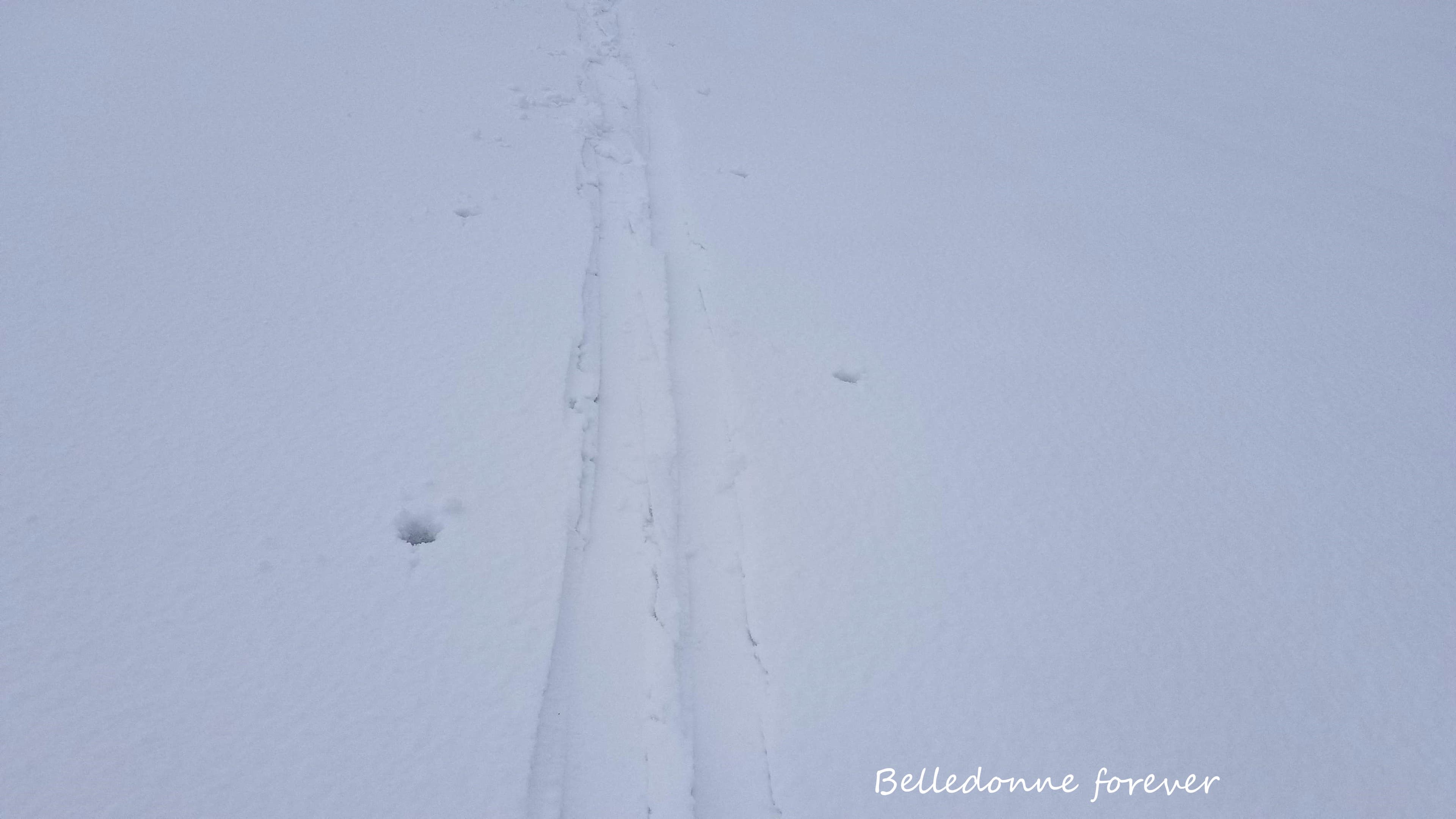 Quelques cm de fraiche à partir de 2100 m A.P.