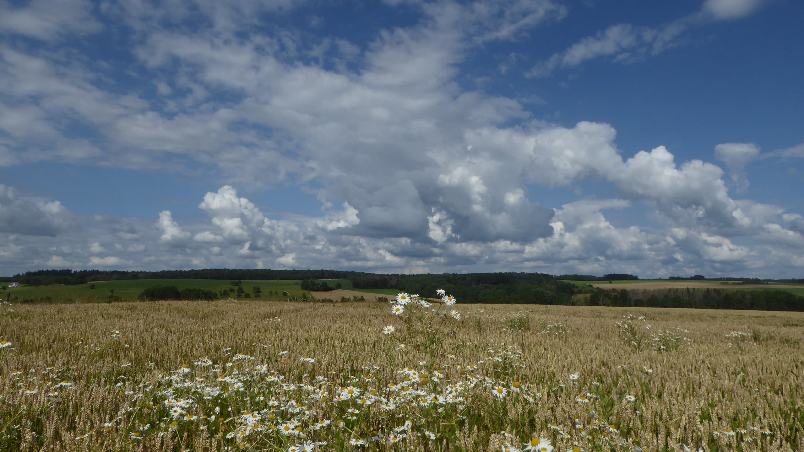 Nuages multiples