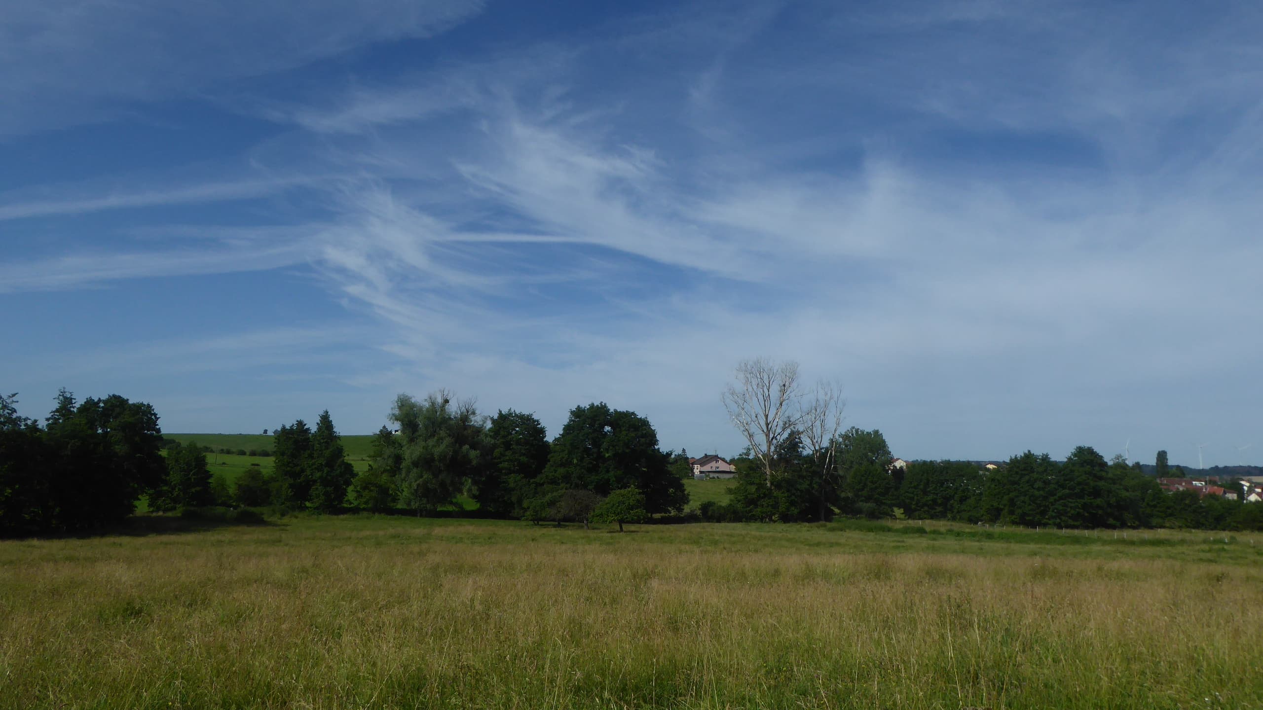 Cirrus