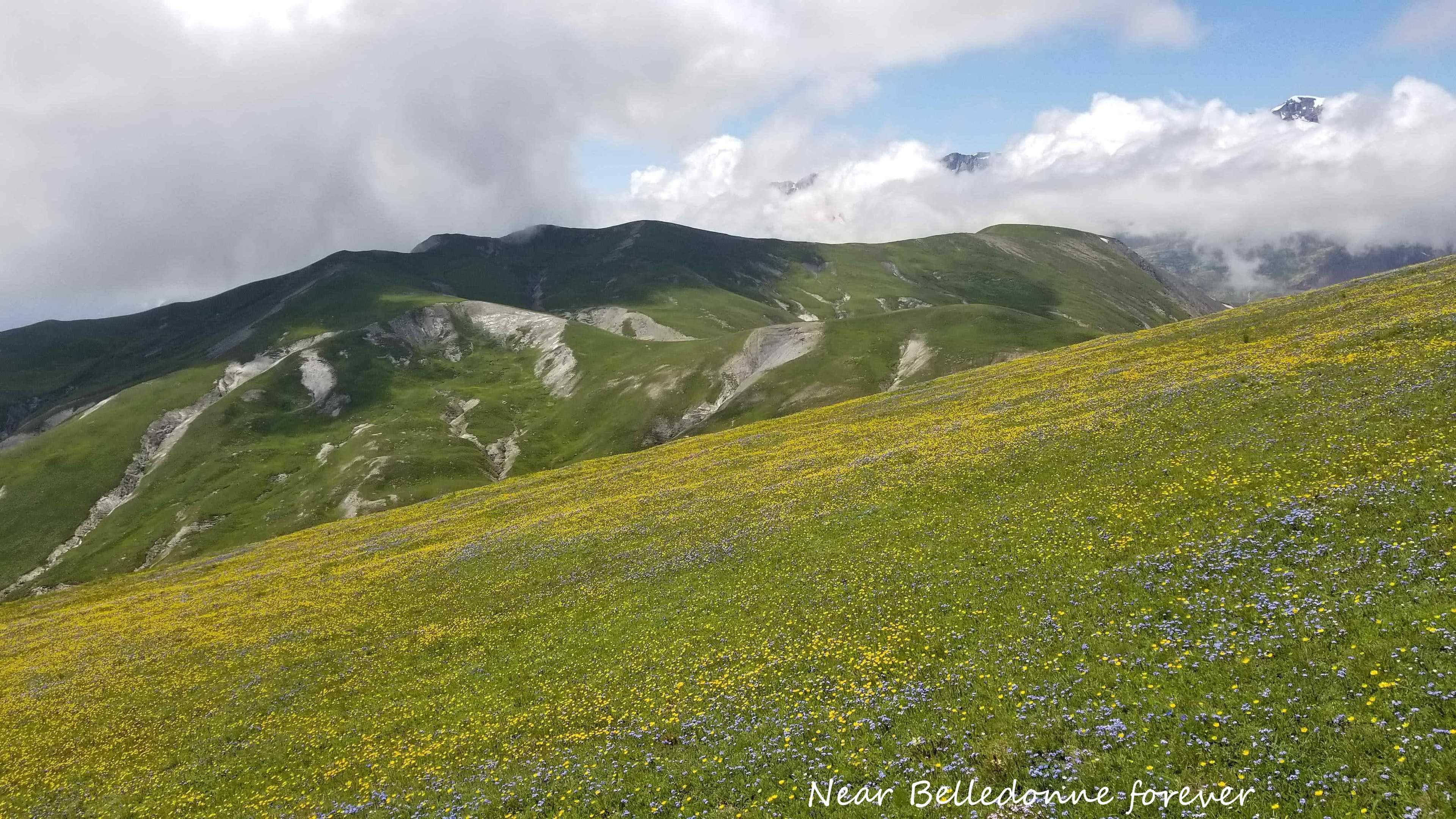 Que de fleurs, après midi mer de nuages vers 2500 m A.P.