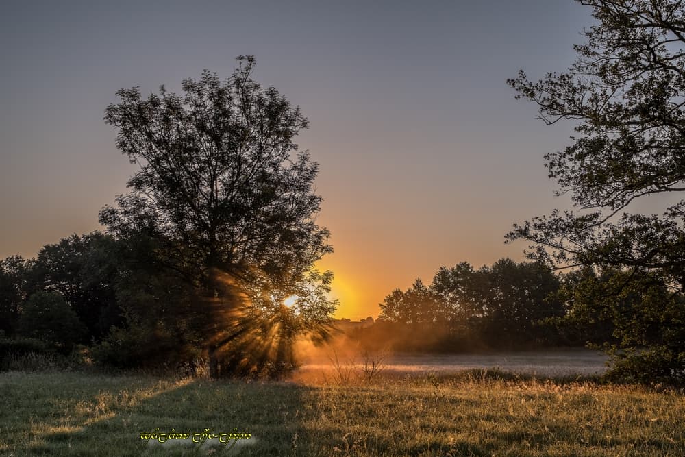 Classique couleur dans la brume