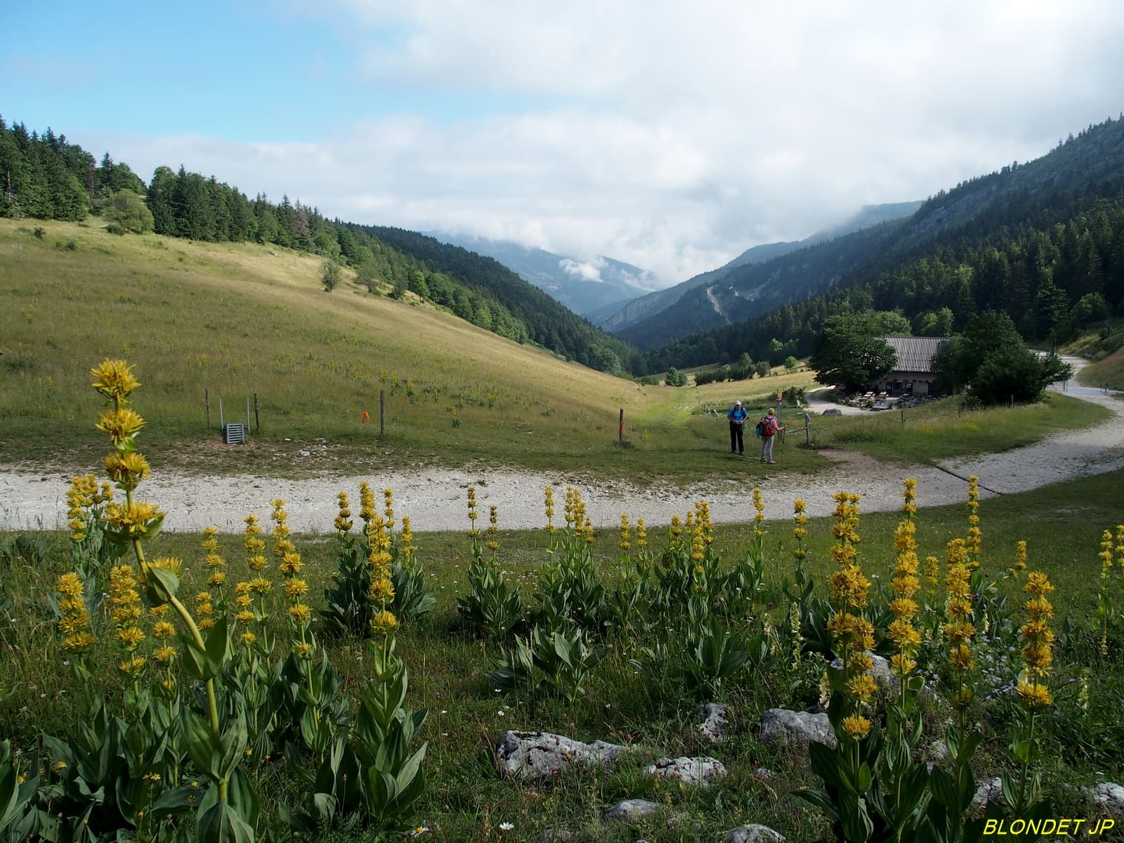 Les Allières