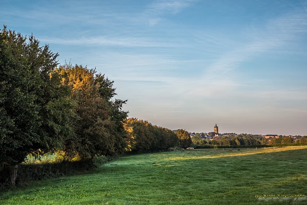 L'automne, à pas mesurés