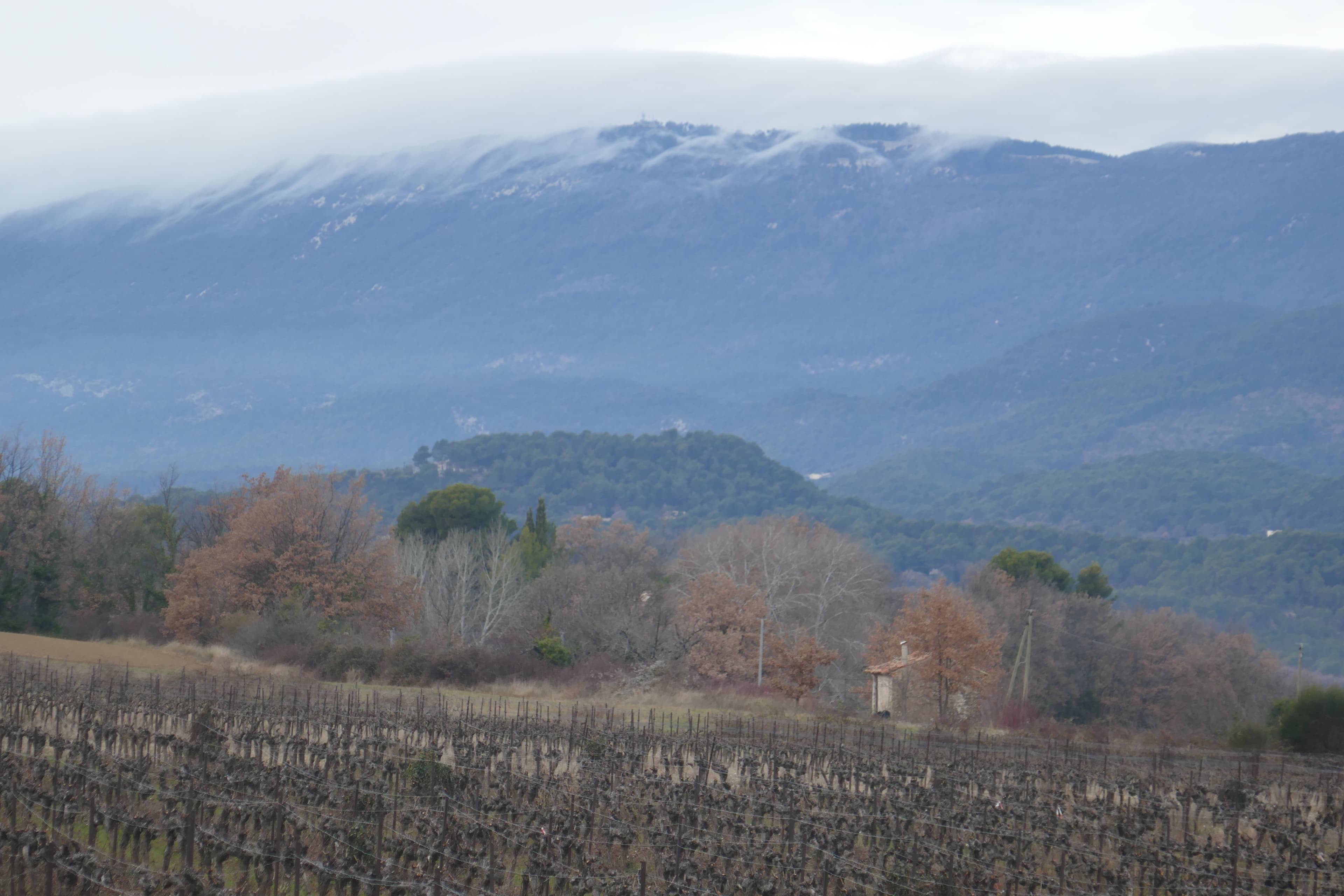 Grand Luberon embrumé vu de grambois