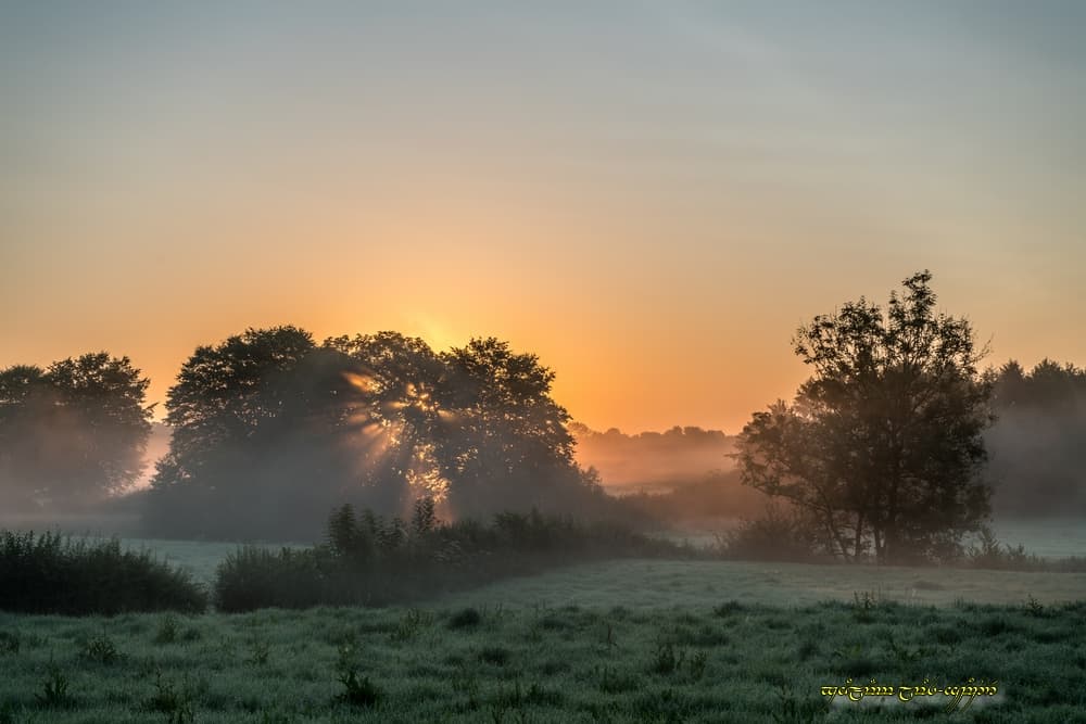 Couleur dans la brume