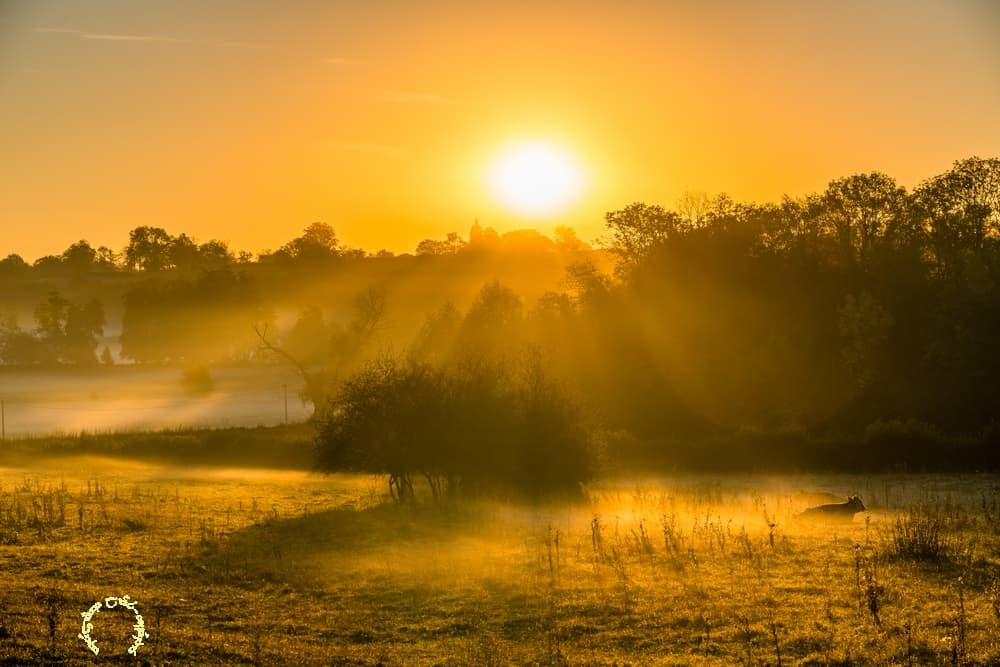 Lever faiblement brumeux