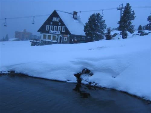 Neige tardive
