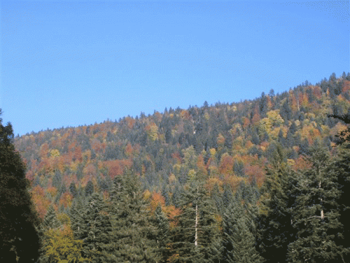 On se croirait au Canada