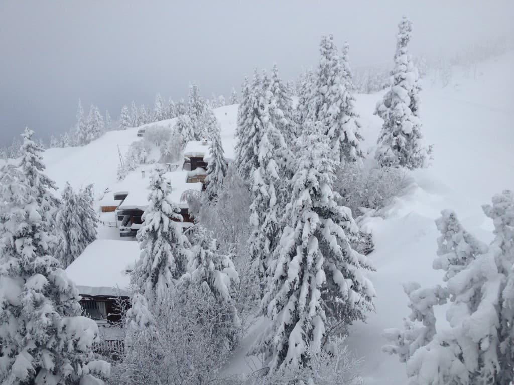 un paysage digne du grand Nord