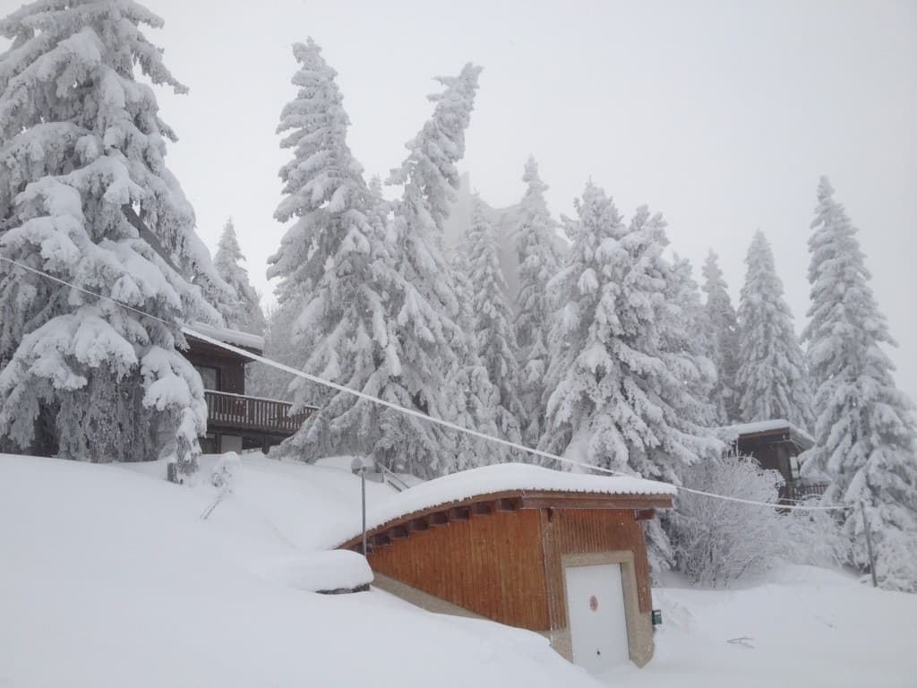 un paysage digne du grand Nord