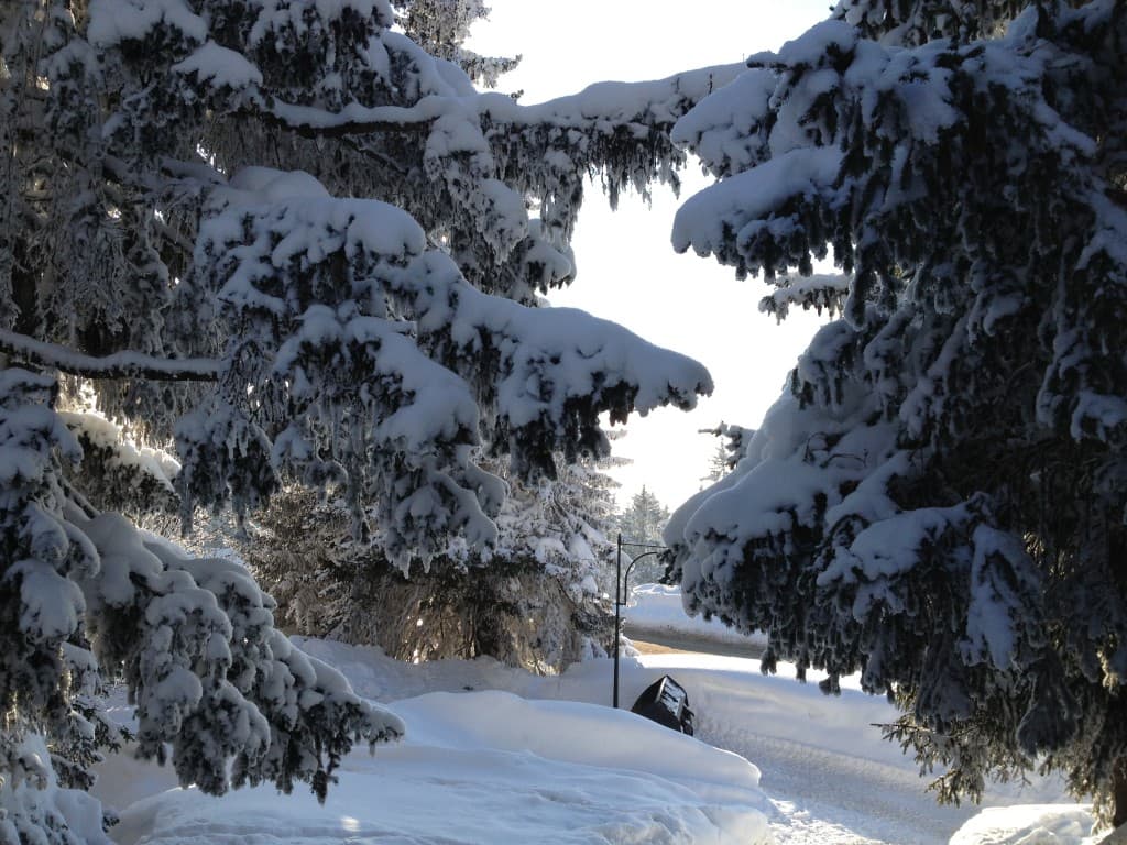 Après un week-end polaire !
