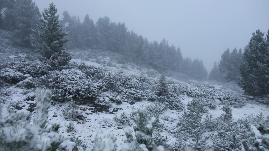 Chamrousse  lundi ski A.P.