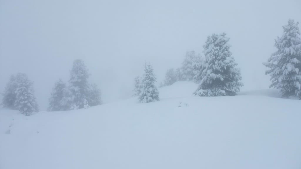 Le paradis blanc A.P.