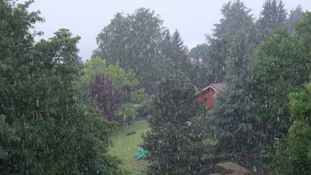 Neige fondante ce matin Alt 560m  A.P.