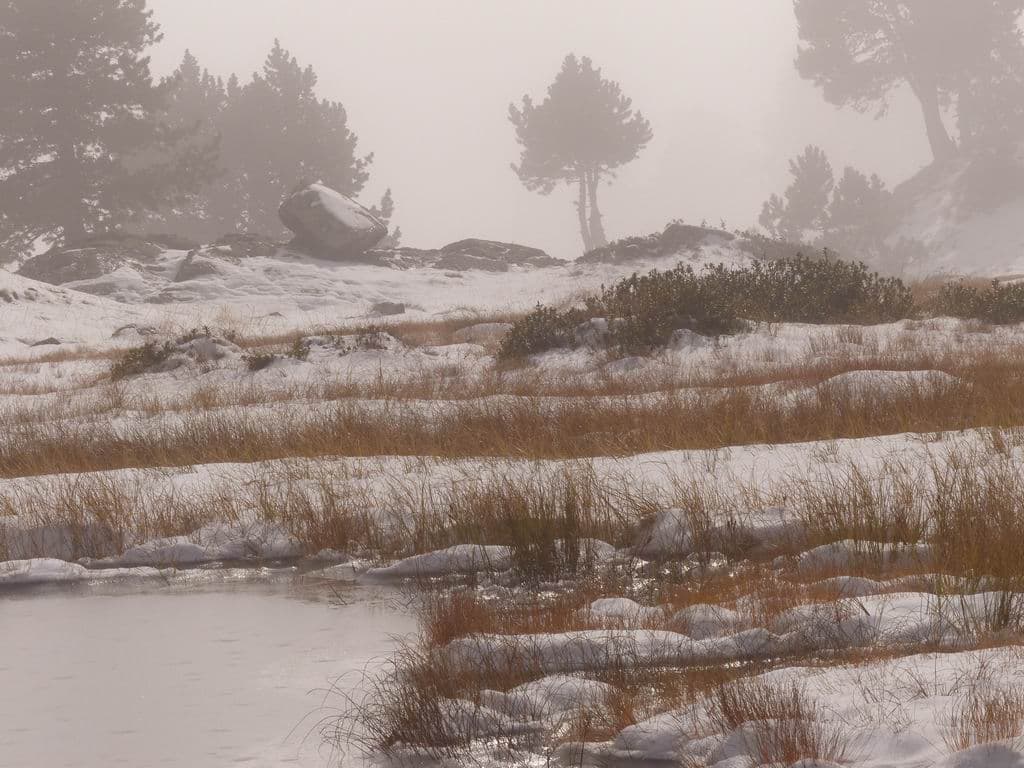 Ambiance hivernale au Lac Achard