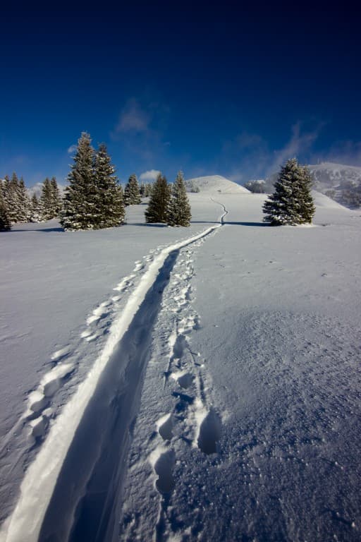 col de la balme