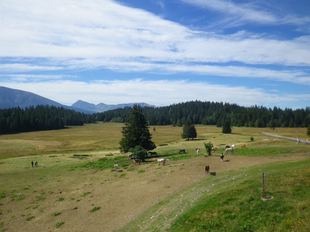 Plateau de l'Arselle/centre equestre