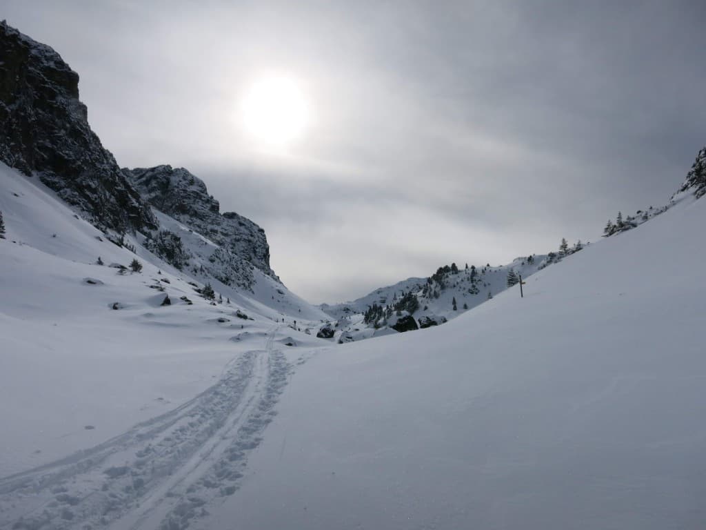 Belledonne   Forever A.P